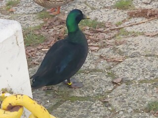 photo/5caba051-f557-4dec-8108-b211612d474f-3